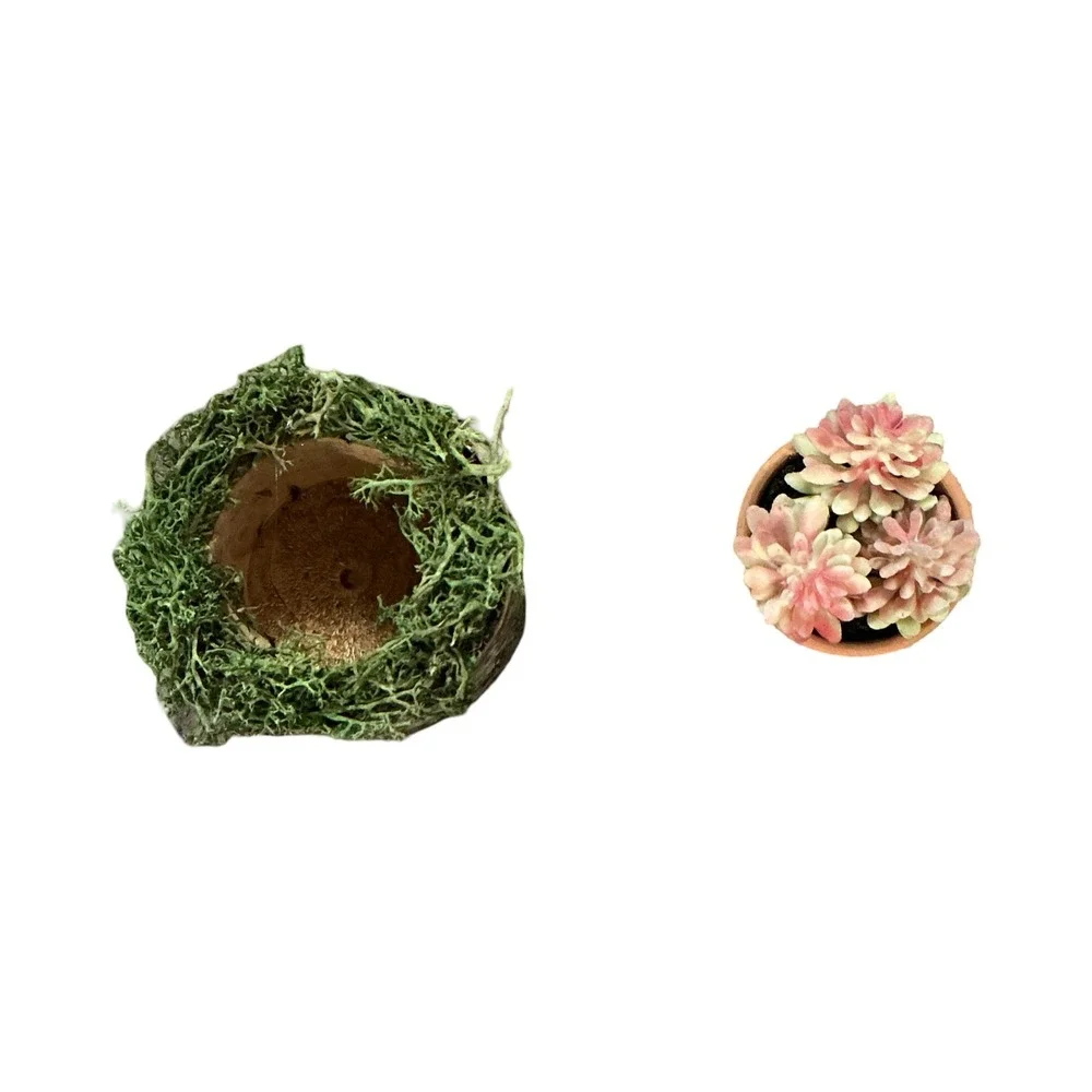 Rustic Artificial Succulent in Birch Log Base with Moss and Terracotta Pot‎